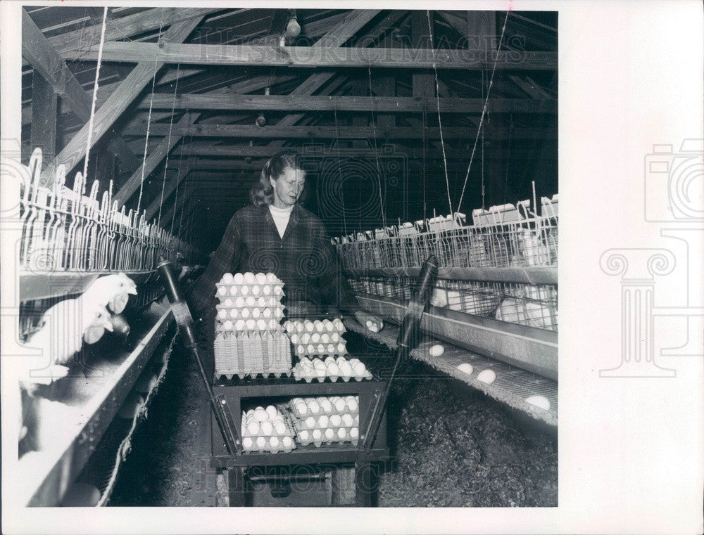 1969 Pasco County, Florida B &amp; N Egg Producers, Mable Durrance Press Photo - Historic Images