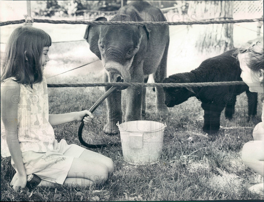 1966 Barrington, Illinois Country Fair Baby Elephant, Black Lamb Press Photo - Historic Images