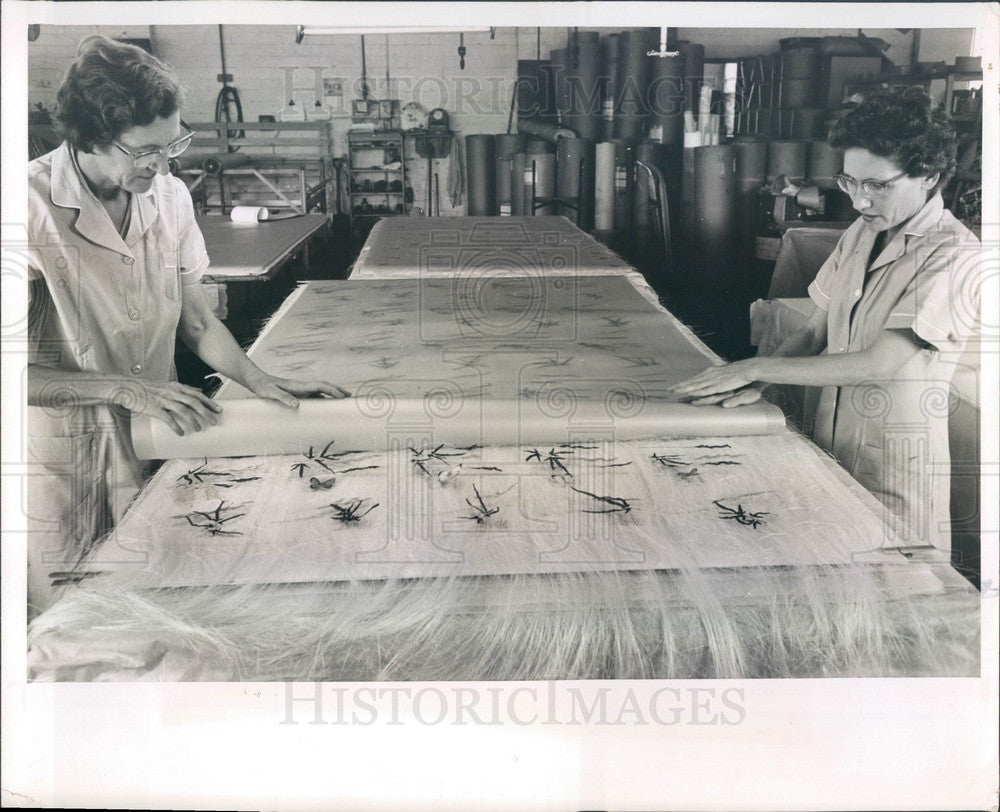 1962 St Petersburg, Florida Pan-Laminates Inc Press Photo - Historic Images