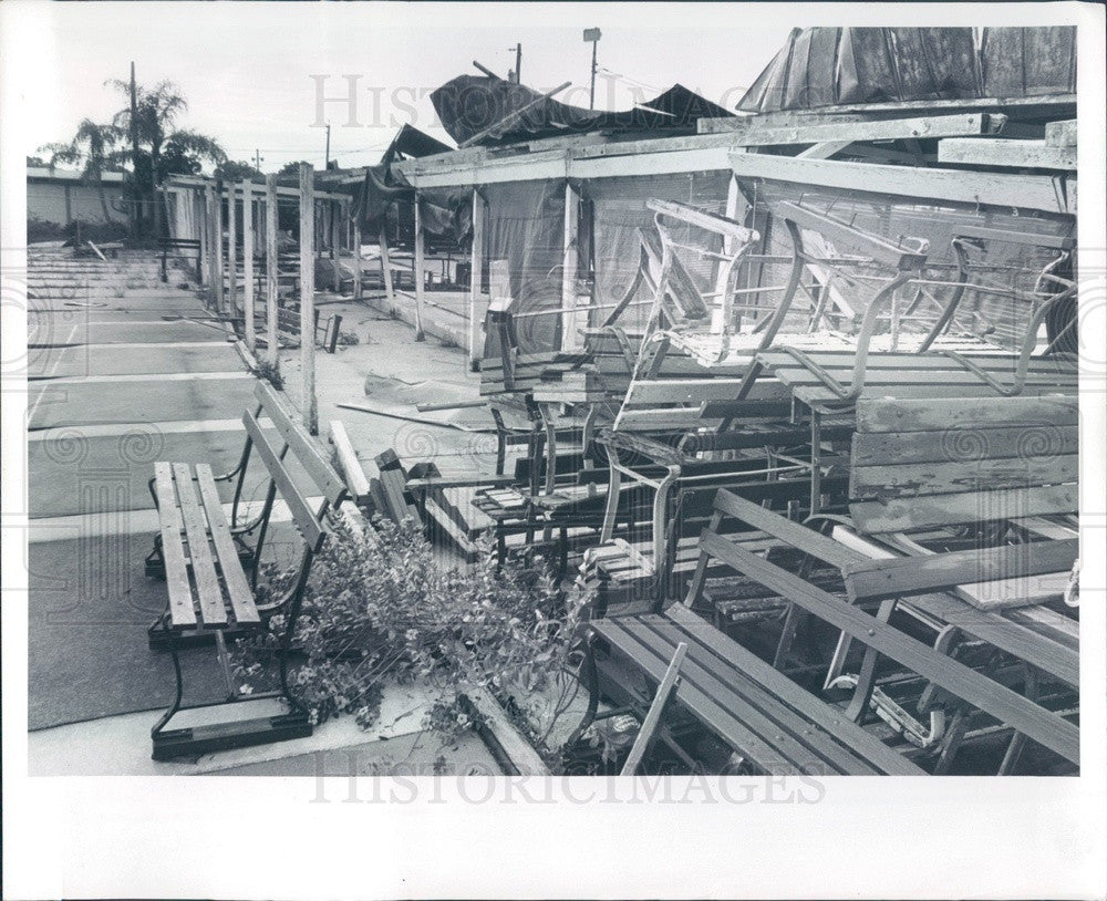 1979 St Petersburg, Florida Bartlett Park Windstorm Damage Press Photo - Historic Images