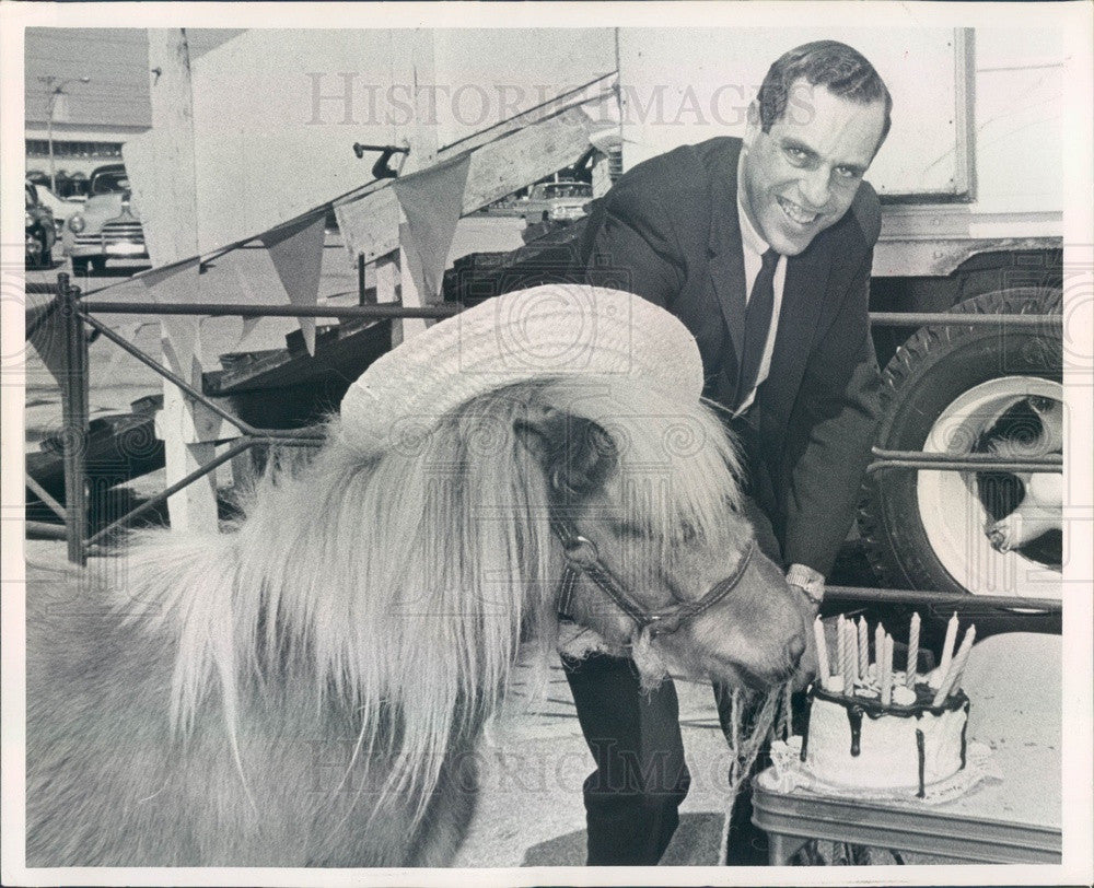 1965 St Petersburg, Florida Central Plaza, Midget Horse Tiny Tim Press Photo - Historic Images