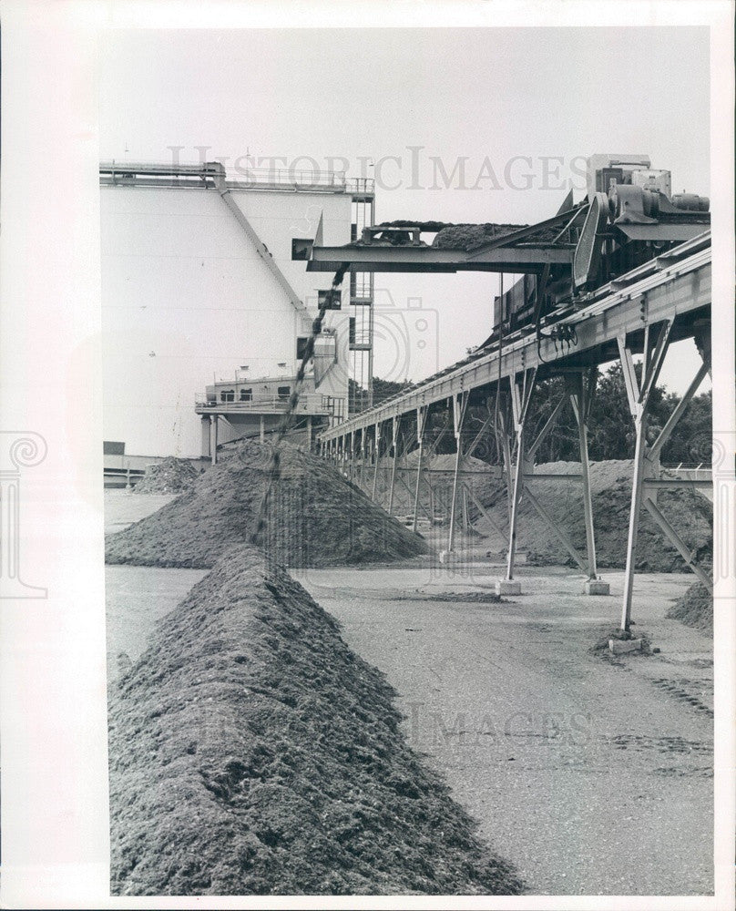 1966 St Petersburg, FL International Disposal Corp Compost Plant Press Photo - Historic Images