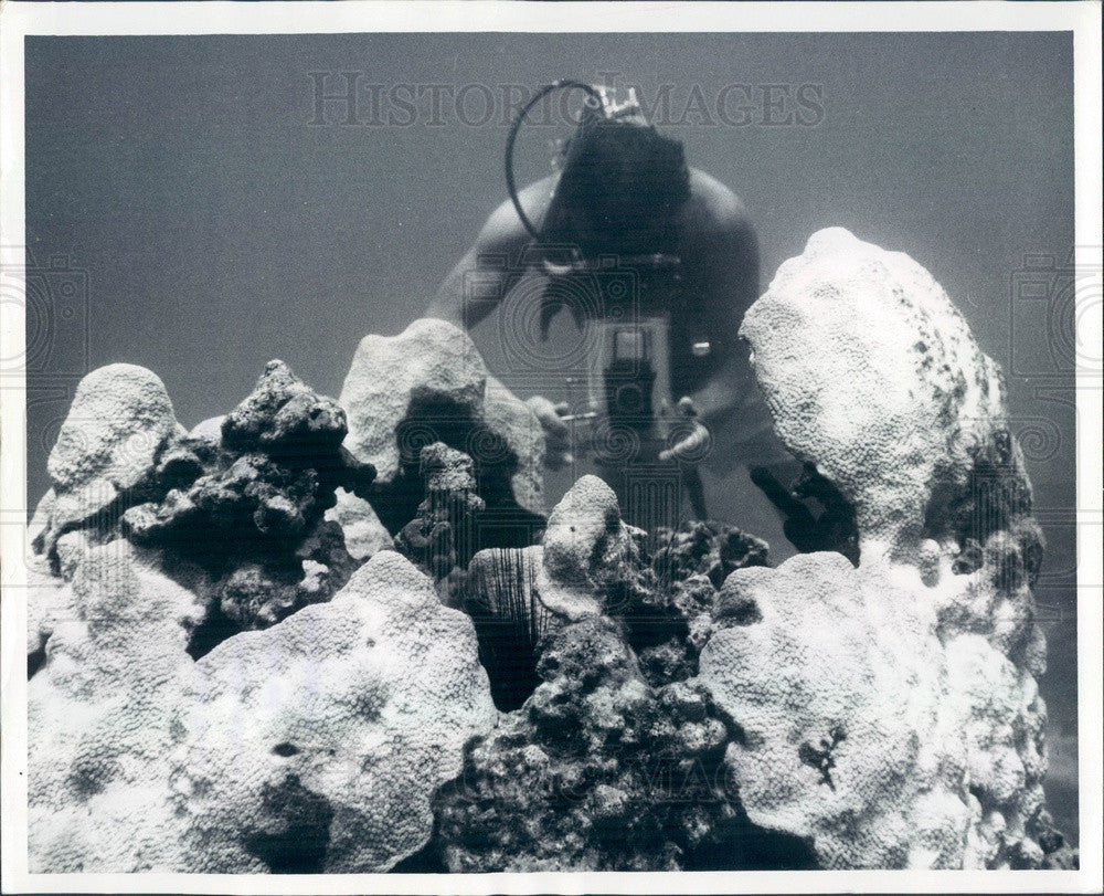 1966 Key Largo, Florida Pennekamp Coral Reef State Park Press Photo - Historic Images