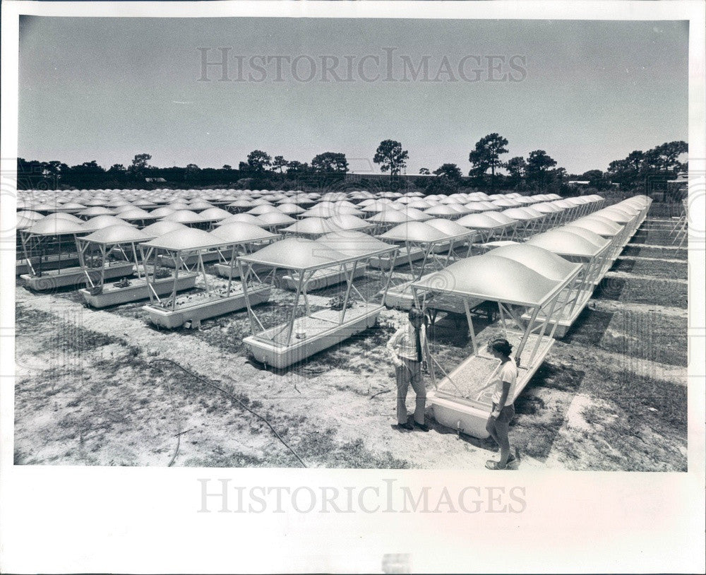 1978 Largo, Florida Modular Farms Farming Units Press Photo - Historic Images