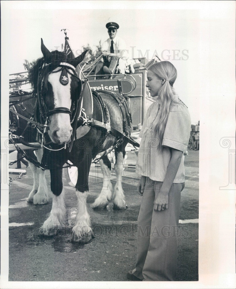 1976 Budweiser Clydesdales in Inverness, FL, with Fan Judy Kreuger Press Photo - Historic Images