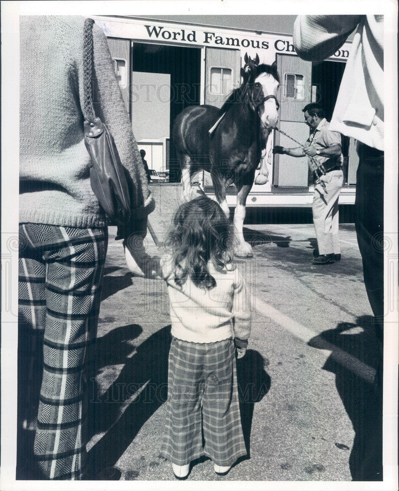 1976 Budweiser Clydesdales at St Petersburg, FL Tyrone Square Mall Press Photo - Historic Images