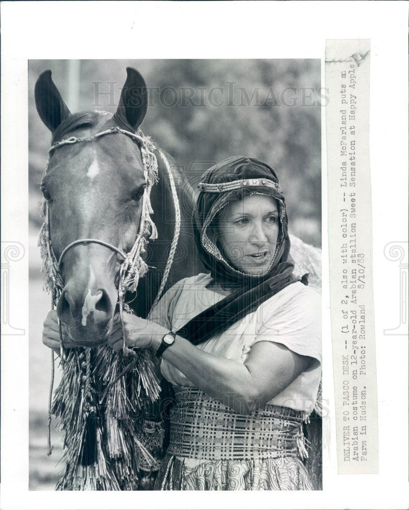 1988 Hudson, FL Costumed Arabian Stallion &amp; Rider Linda McFarland Press Photo - Historic Images