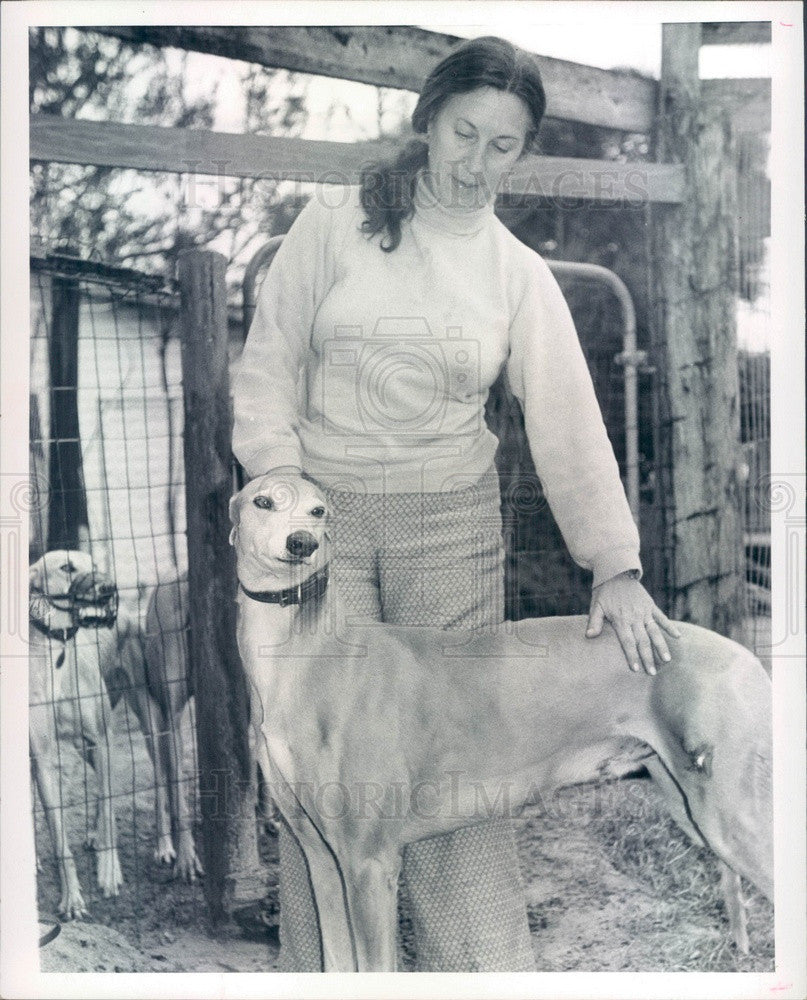 1973 Lecanto, Florida Rolling Rock Farm Greyhound Merry Gambler Press Photo - Historic Images