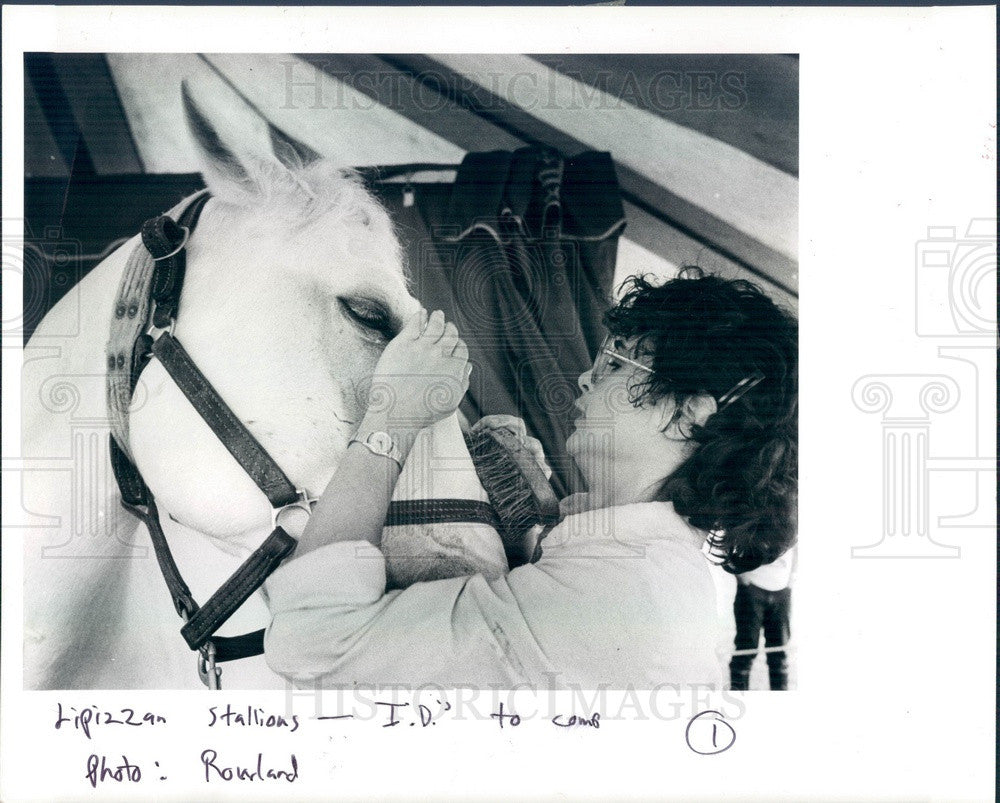 1986 Herrmann Lippizan Stallion Romeo Neapolitano & Rider Press Photo - Historic Images