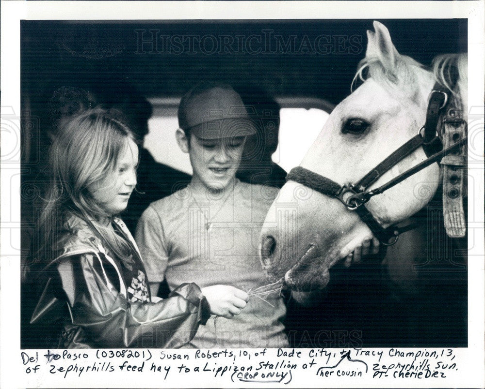 1982 Royal Lippizan Stallion, Susan Roberts &amp; Tracy Champion Press Photo - Historic Images