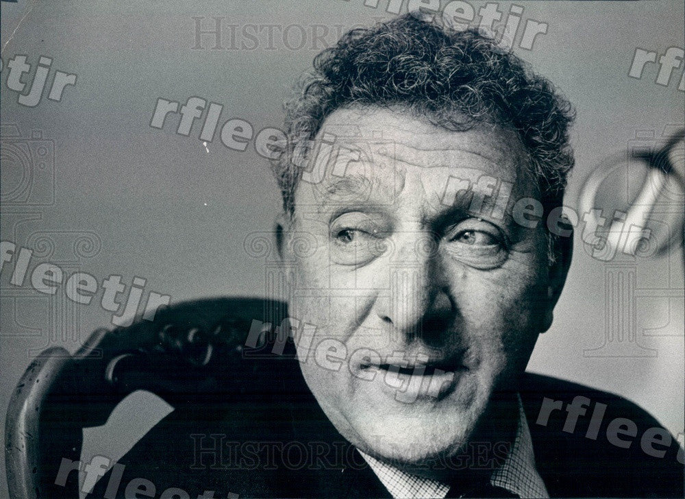 1973 American Novelist, Playwright Irwin Shaw Press Photo adw585 - Historic Images