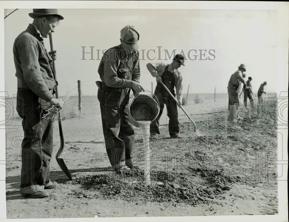1837 Press Photo Conservationists Planting Trees in Dalhart, Texas - afa05233- Historic Images