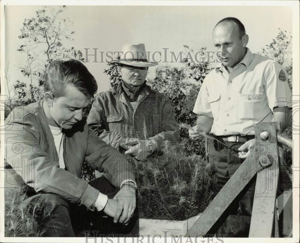 1964 Press Photo Danny Wambles, J.P. Osteen, Harell Hemmingway plant seedlings- Historic Images