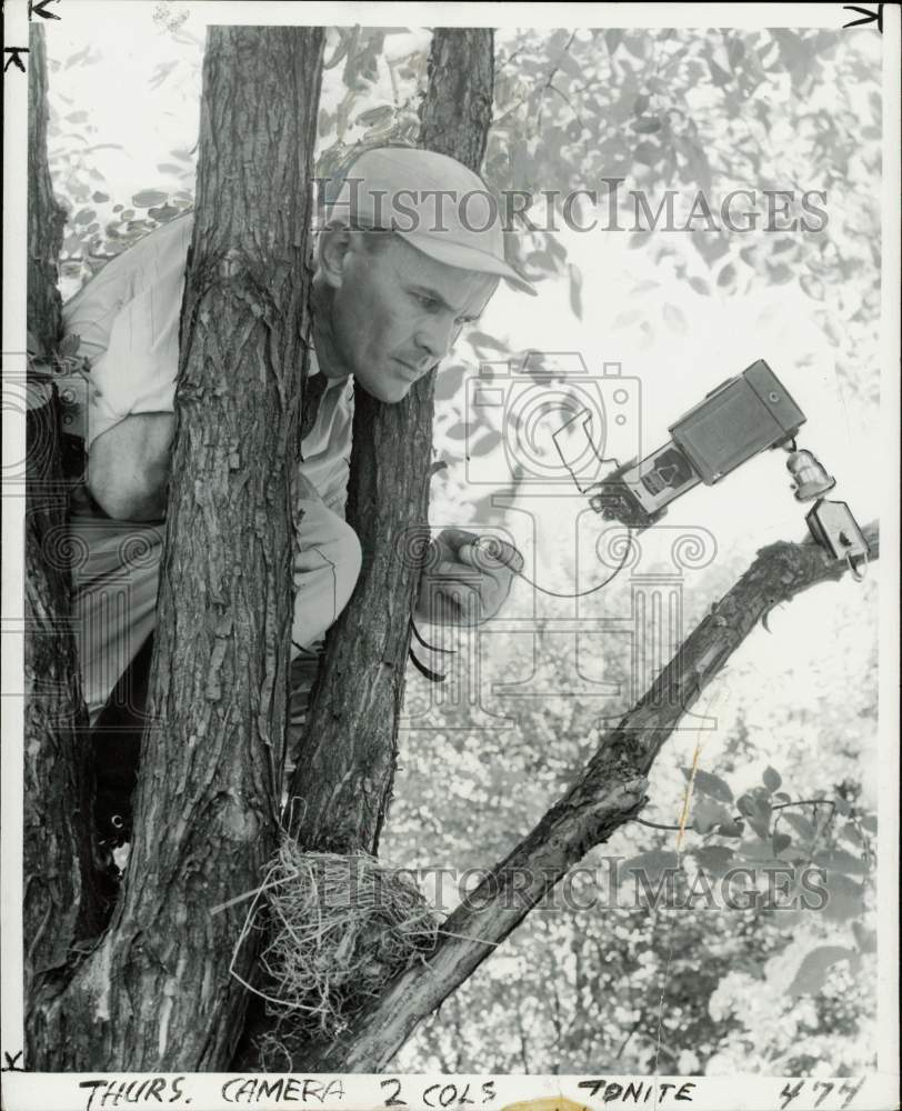 1953 Press Photo Walter P. Nickell of the Cranbrook Institute of Science in tree- Historic Images