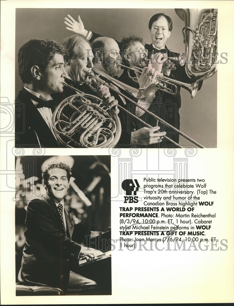 1994 Press Photo Michael Feinstein In Wolf Trap Presents A World Of Performance - Historic Images