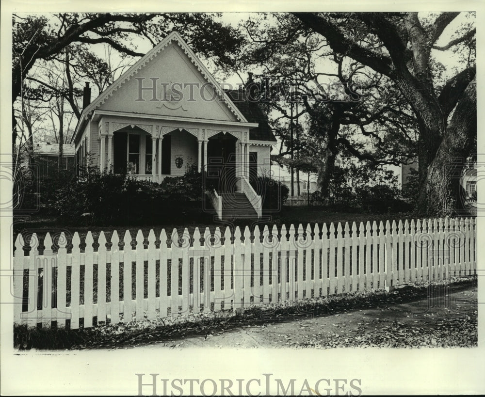 Exterior view of Steamboat Gothic home, 200 George Street, Mobile - Historic Images