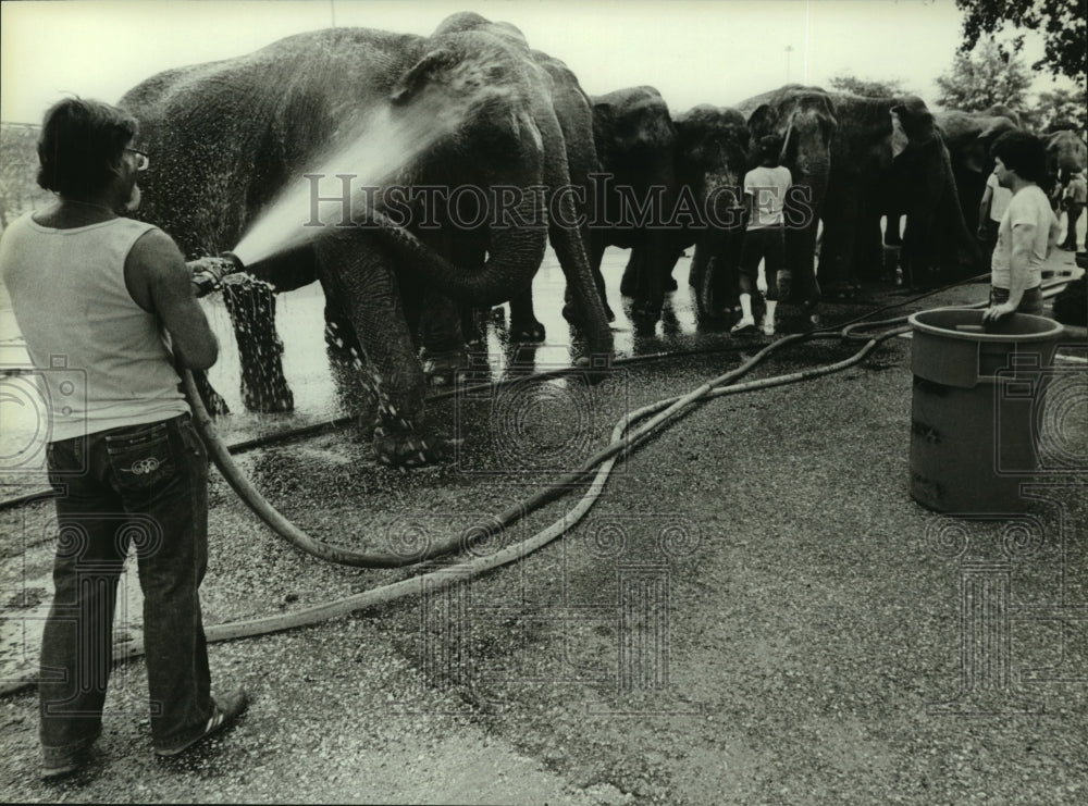 1984 Press Photo Elephant Keepers Cleaning Circus Elephants, Alabama - amra06899- Historic Images