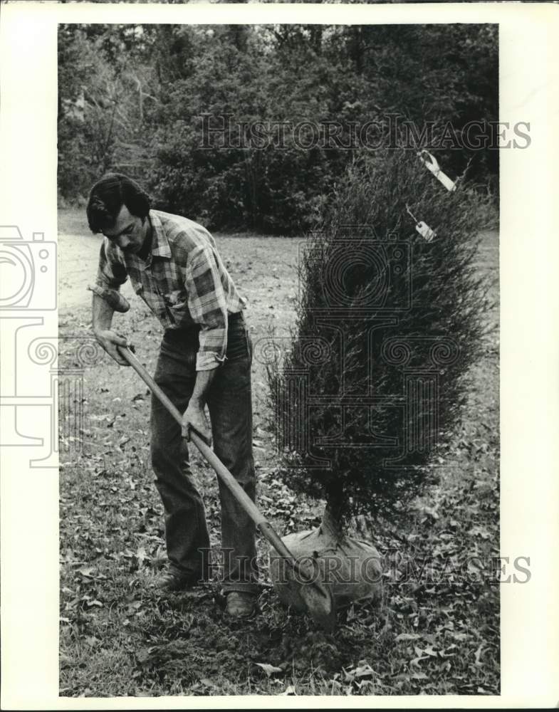 Man planting at tree, Alabama - Historic Images