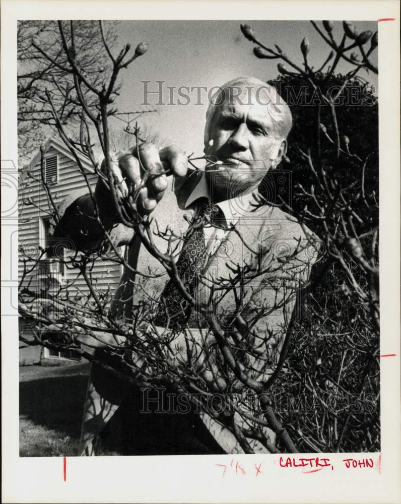 1983 Press Photo John Calitri inspects Azalea Bush at New Canaan Home- Historic Images