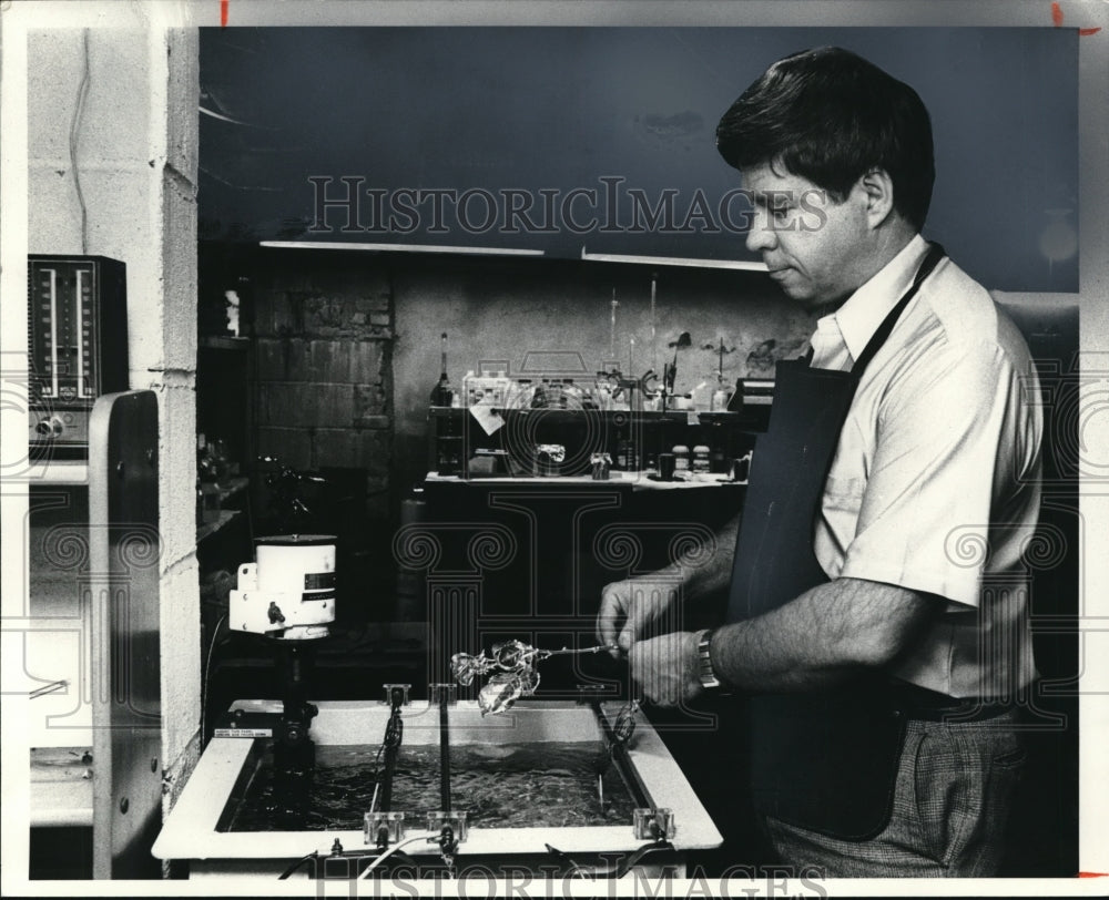 1980 Press Photo George Eierman removes rose from silver tank - Historic Images