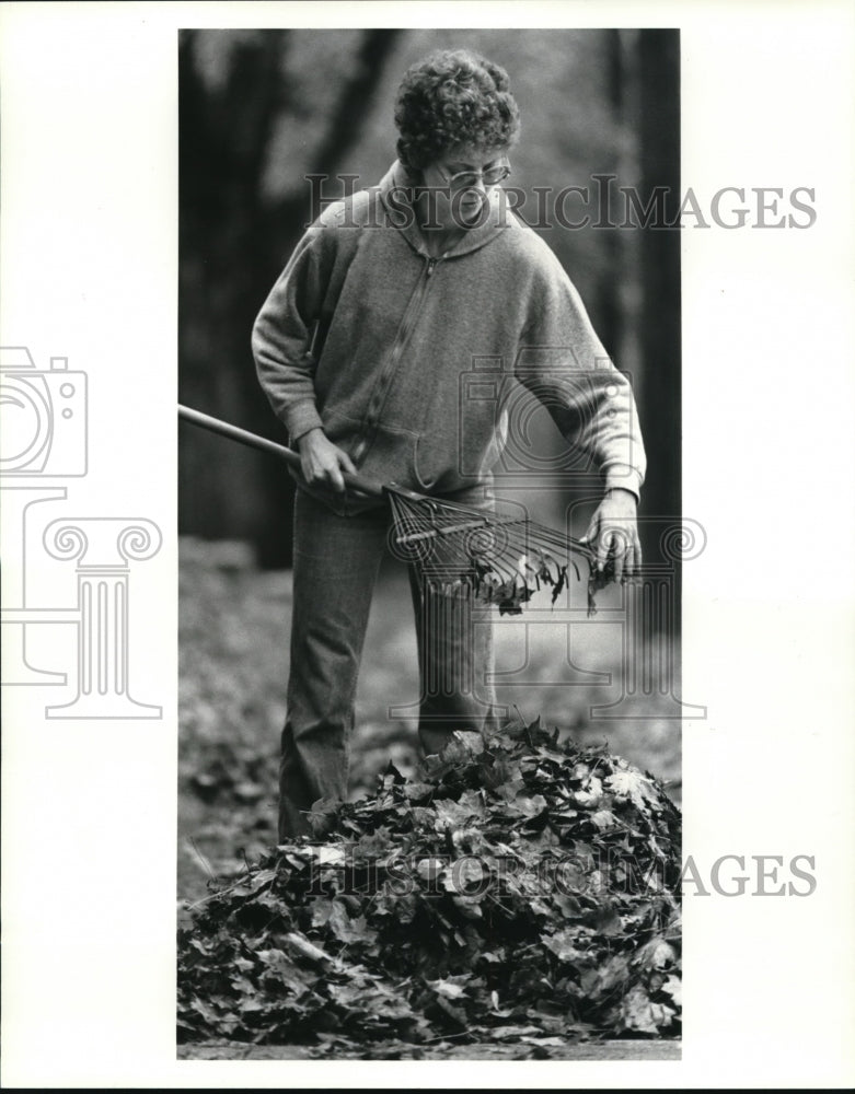 1985, Carol Englert racks leaves in Salem - cva13555 - Historic Images