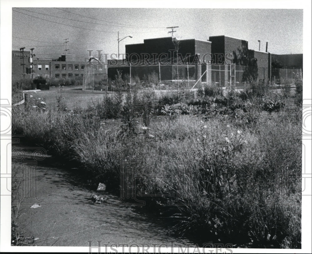 1989 Press Photo George Forb&#39;s property he did not pay taxes on, Former Wendy&#39;s - Historic Images