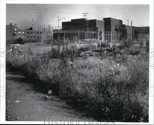 1989 Press Photo George Forb's property he did not pay taxes on, Former Wendy's - Historic Images