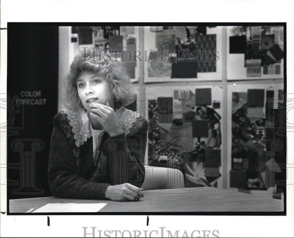 1987 Press Photo The Sherwin Williams Company color stylist, Shari Hiller - Historic Images