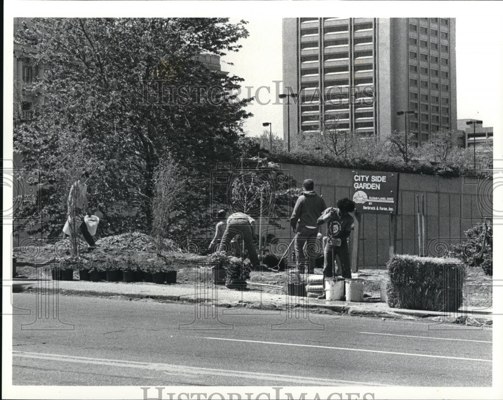 1985 Press Photo Ohio Clean Land crews plant trees on the west side - Historic Images