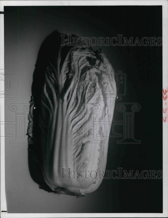 1977 Press Photo Chinese celery or the cabbage and in some place called nappa - Historic Images