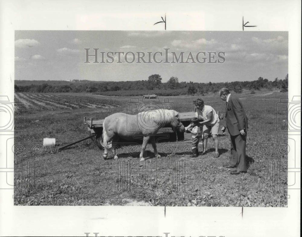 1983 Press Photo View of people petting a horse on John Johnsons farm - Historic Images