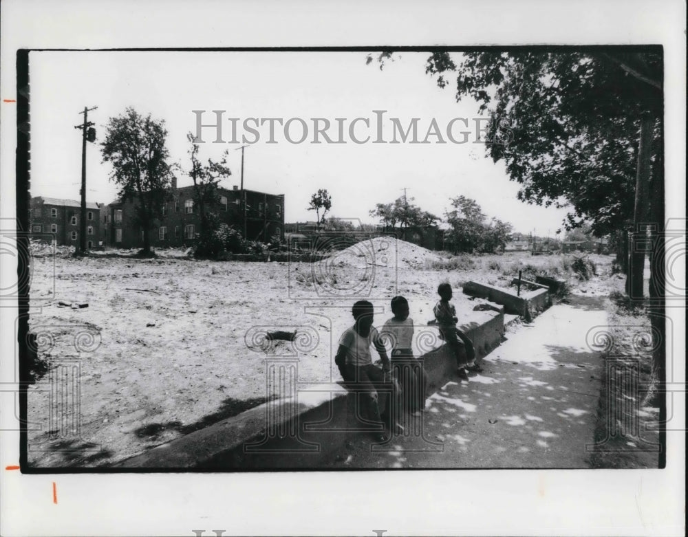 1976 Press Photo The inter city vacant lots at Lexingtion - Historic Images