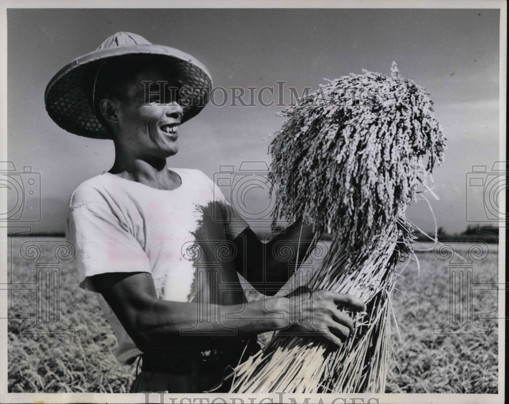 1960, Taiwan&#39;s modern irrigation systems - cva20282 - Historic Images