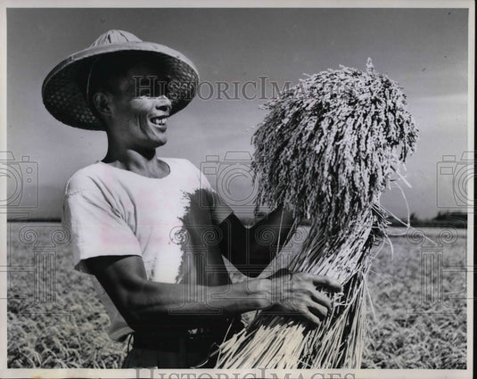 1960, Taiwan's modern irrigation systems - cva20282 - Historic Images
