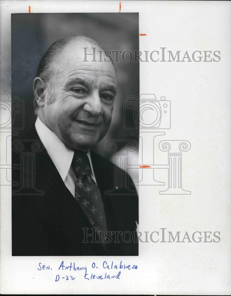 1979 Press Photo Anthony O. Calabrese, State Senator - Historic Images