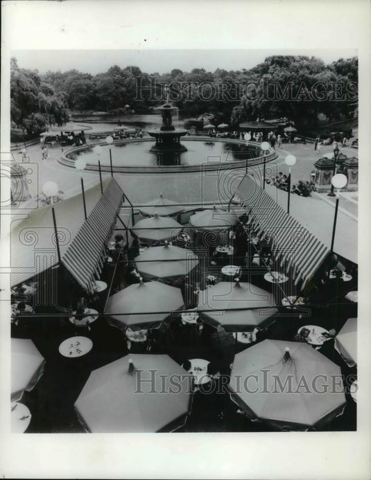 1967 Press Photo Central Park Fountain Cafe in New York City - cva21538 - Historic Images