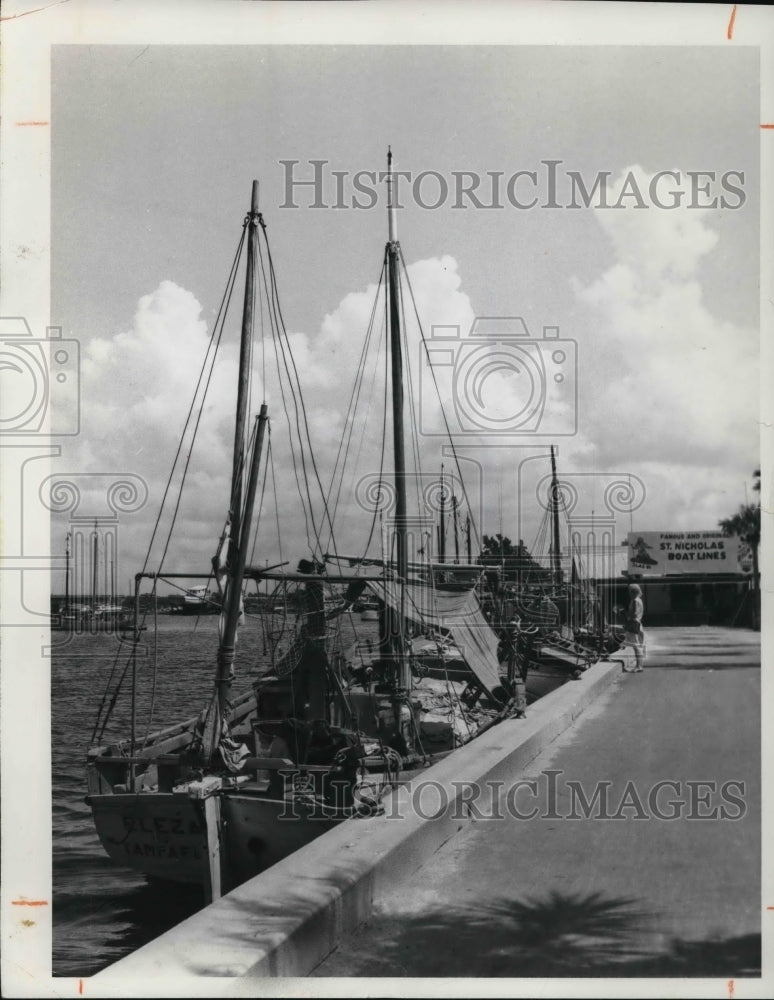 Press Photo The Tarpon Springs in Florida - Historic Images