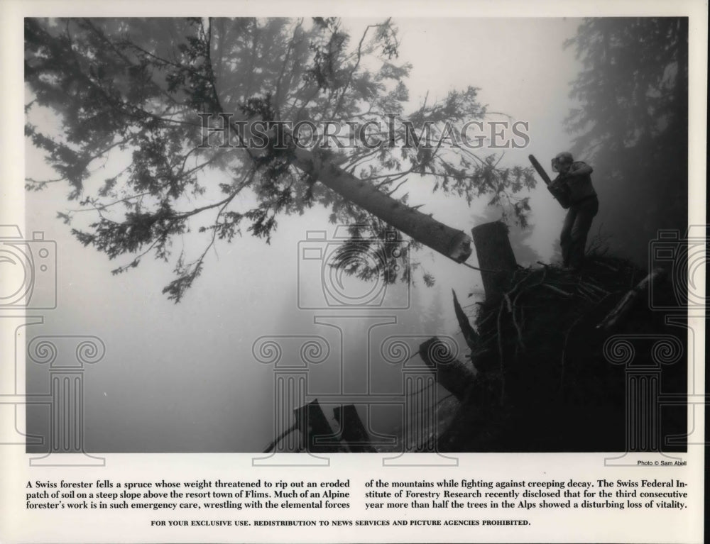 1989 Press Photo The Swiss Federal Institute of forestry Research - Historic Images