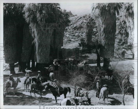 Press Photo This palm tree-lined Indian canyon is a popular for local riders - Historic Images