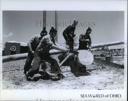 1981 Press Photo The Sea World - Historic Images