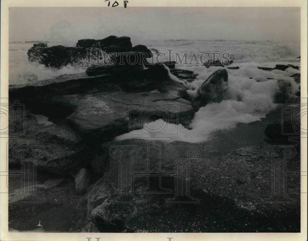 1983 Press Photo Huge boulders created by wave action at the Washington Oaks - Historic Images