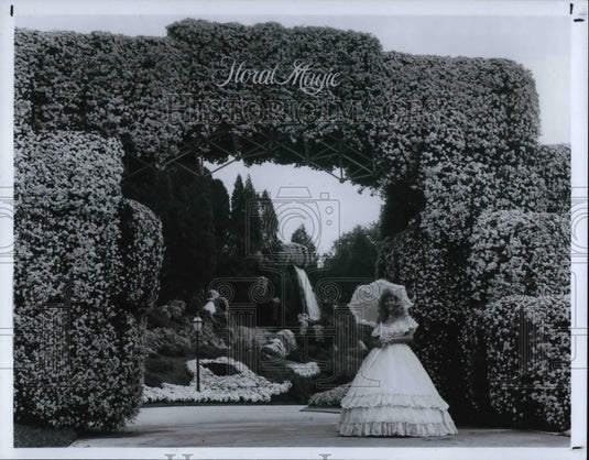 1987 Press Photo Cypress Gardens' third annual chrysanthemum festival in Florida - Historic Images