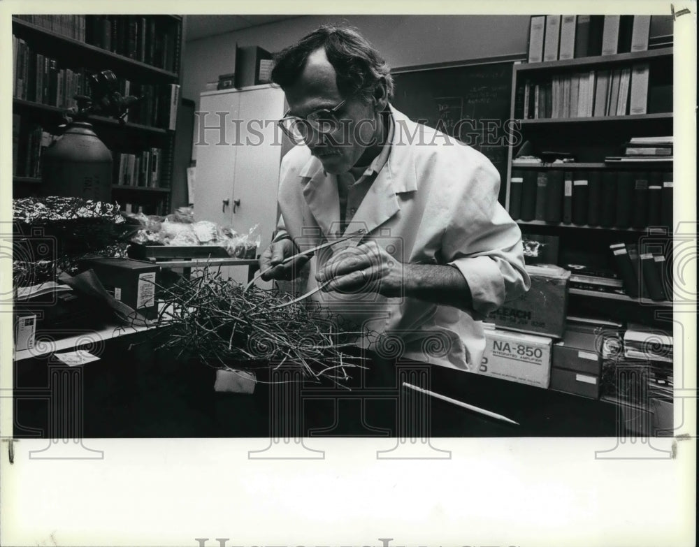 1985 Press Photo Michael D. Kern of the College of Wooster, Biology Department - Historic Images