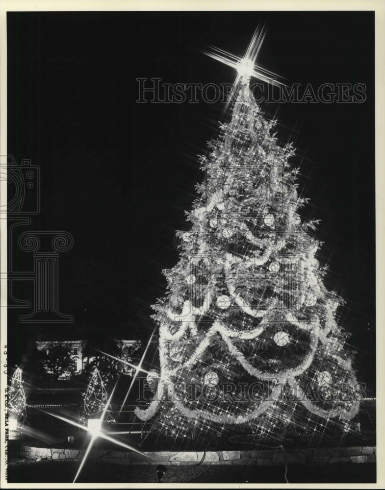 1980 Press Photo Christmas Trees - Historic Images