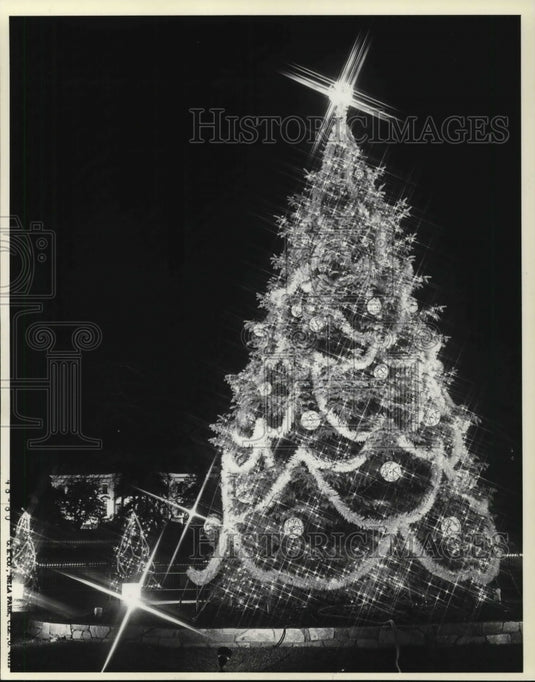 1980 Press Photo Christmas Trees - Historic Images