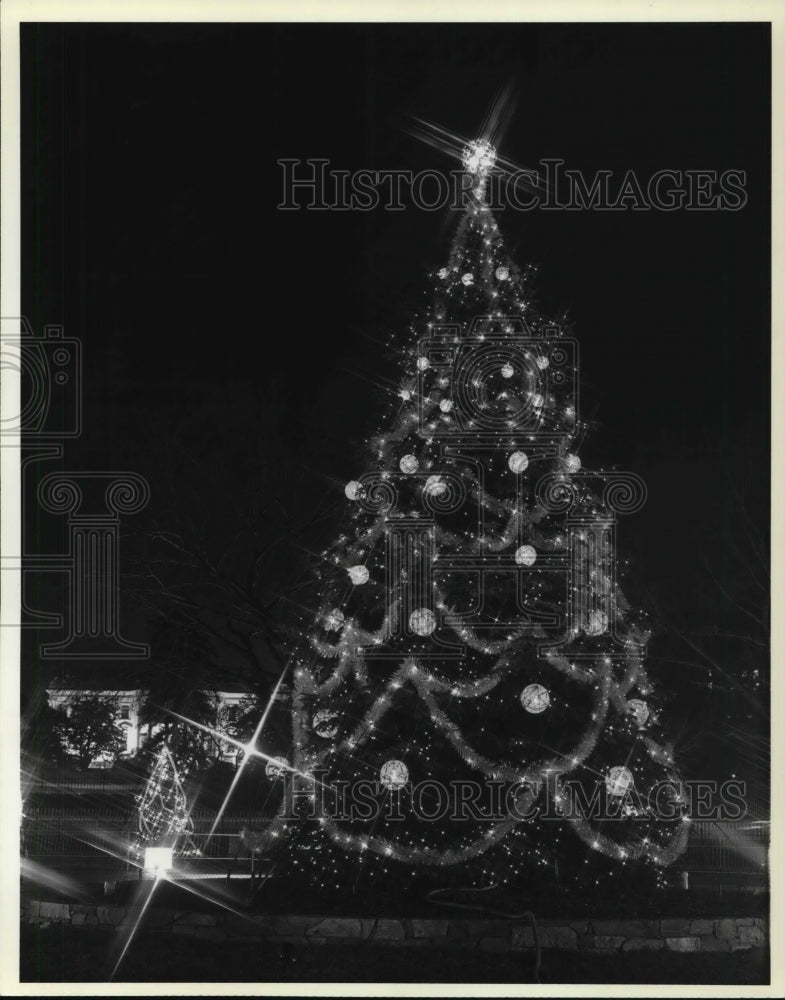 1980 Press Photo Christmas Trees at General Electric - Historic Images