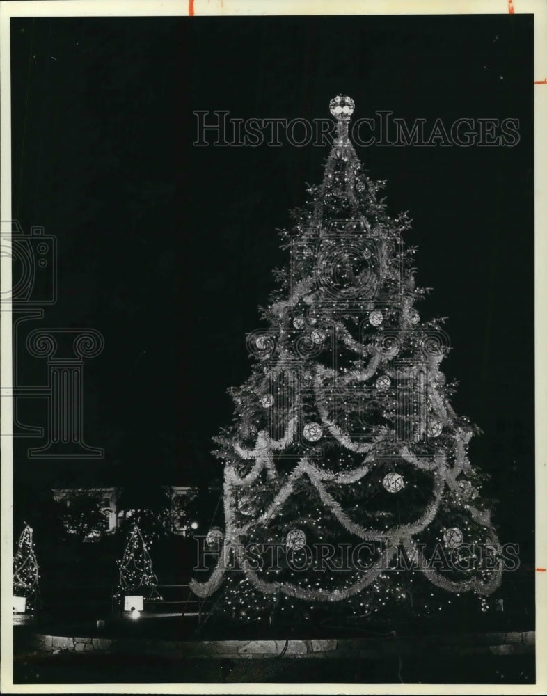1980 Press Photo National Christmas Tree lighted By General Electric - Historic Images