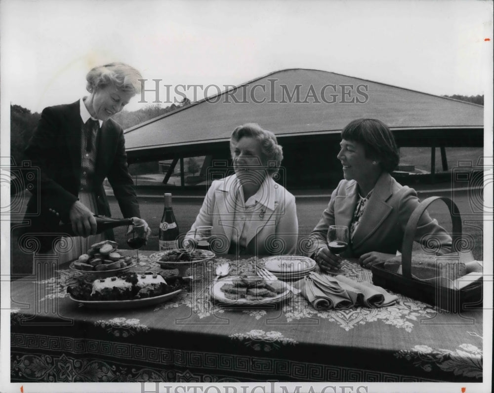 1981 Press Photo Patt Kauffman - Historic Images