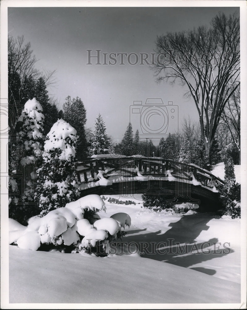 1966, Winter Scene of the Edward Gardens in Toronto - cva35431 - Historic Images