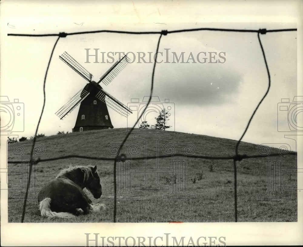 1970 Press Photo A picturesque Denmark field - cva37692 - Historic Images